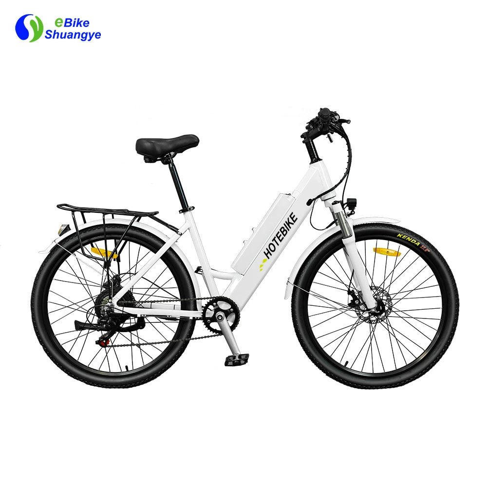 Fahrrad aus Aluminiumlegierung 36V 250W 350W 500W 750W 60km 25-45km/H 48V 1000W Elektro-Fahrräder für Erwachsene