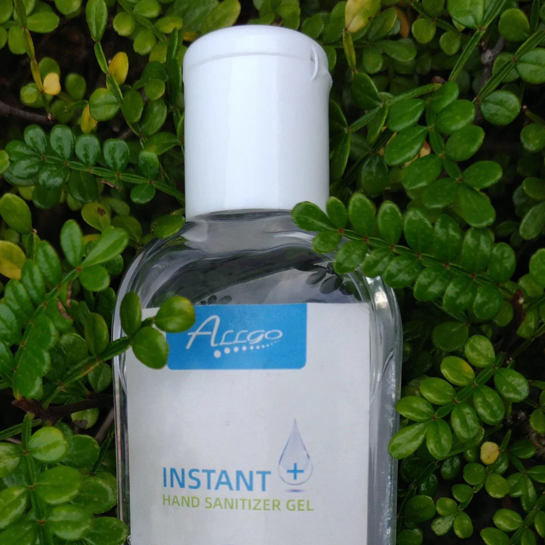 Household Disinfectant Hand Sanitizer Gel Type