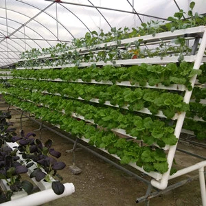 Sistema de crecimiento de PVC NFT sistema de crecimiento de lechuga hidropónica cultivo de plástico Canalón