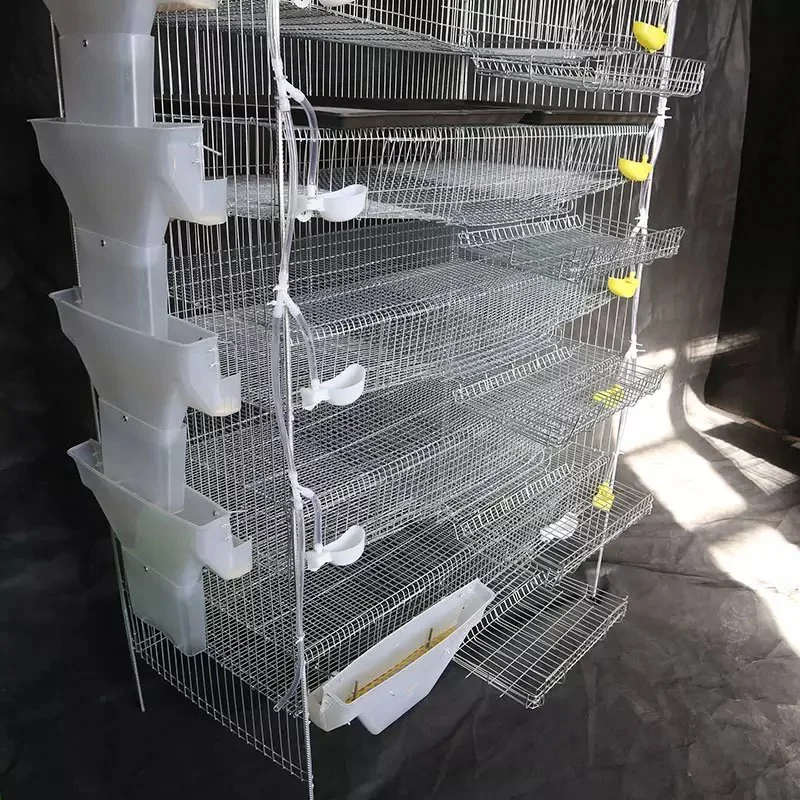 Poultry Farming Galvanized Wire Mesh Quail Battery Cage