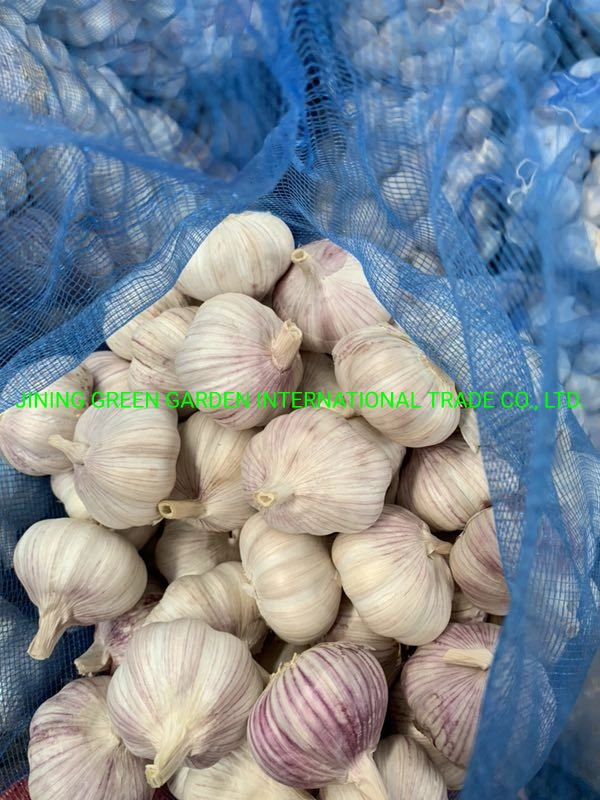 2021 New Crop Dried Dry Normal White Garlic From China Top Quality Lowest Price Plant Factory Direct Supply Experience Producer Good Service 4.5cm,5.0cm,5.5cm E