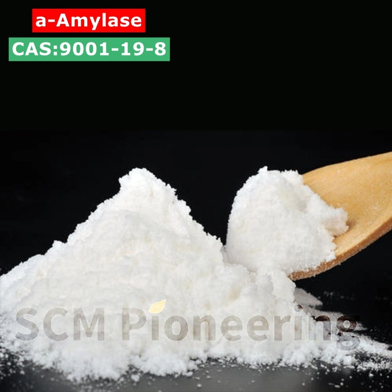 Китай заводской оптовой Food Grade грибковых Alpha / Amylase Alpha-Amylase фермента