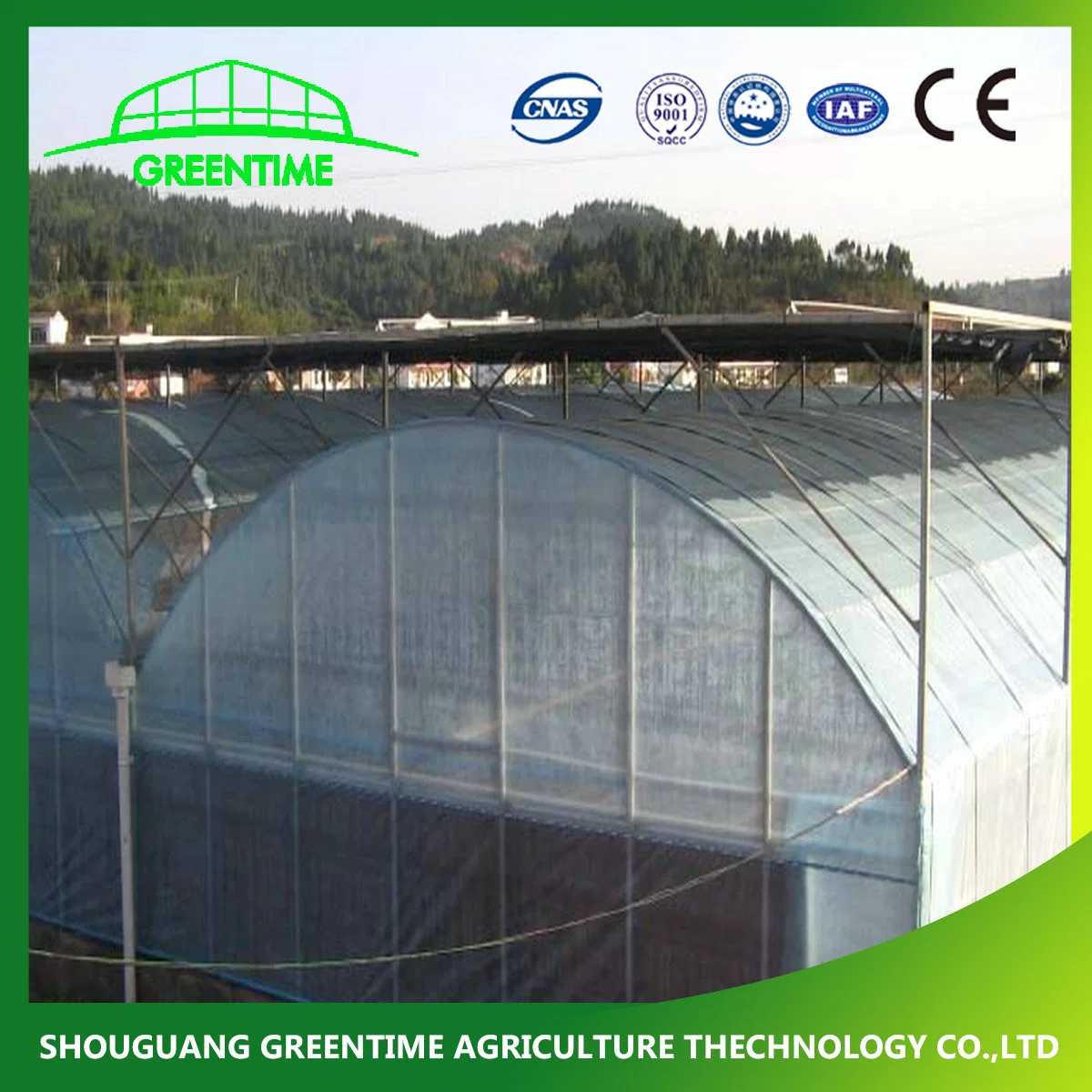 Agricultural Multi Span Plastic Film Green House Hydroponics Vertical Growing System for Sale