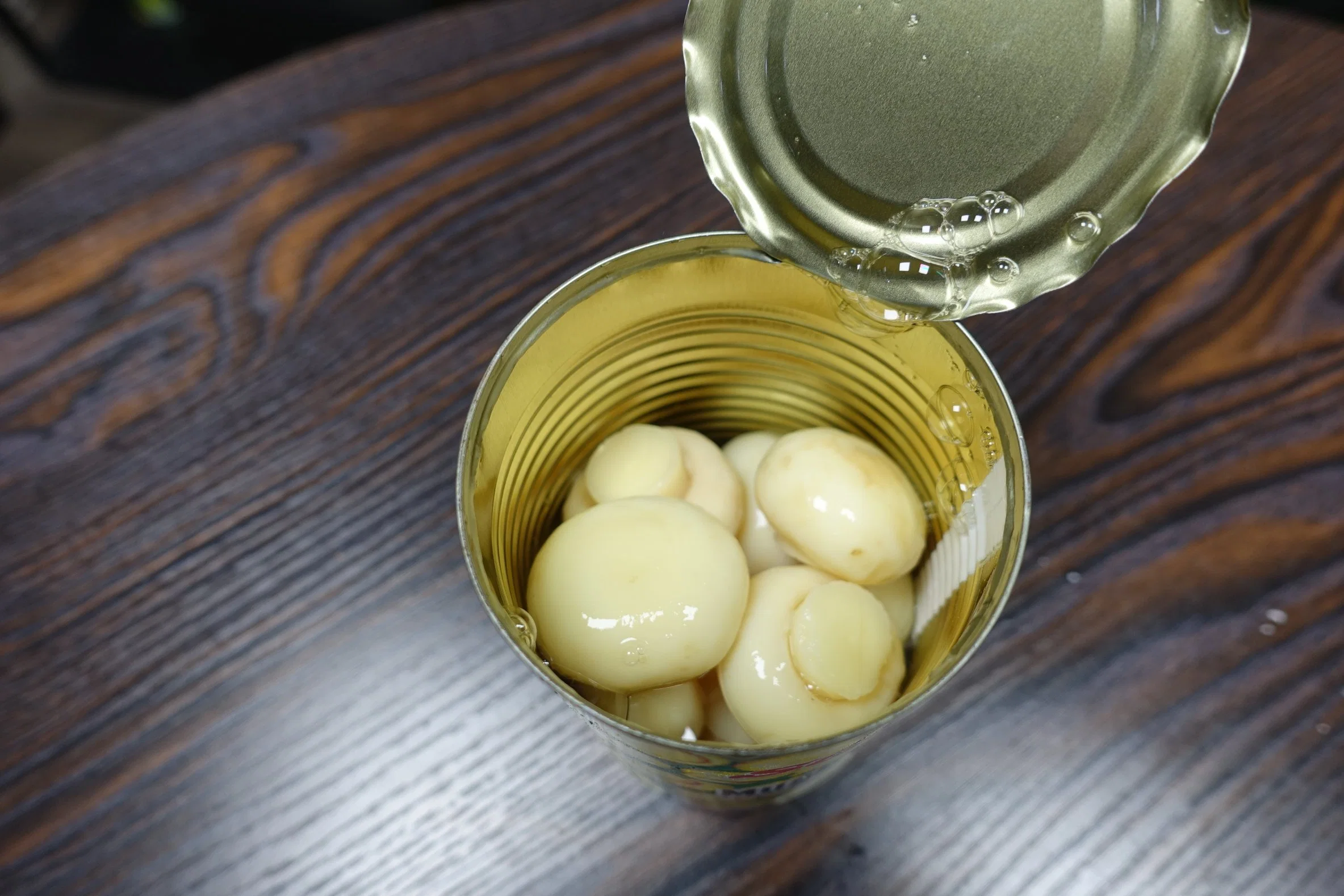 China Canned Fresh Mushroom Champignon Mushroom