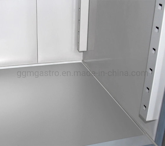 Kitchen Refrigeration Equipment 2 Doors Refrigerator Commercial Freezer