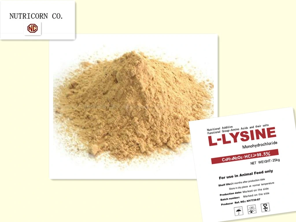 China-Nutricorn-Feed Additive-Lysine HCl 98.5