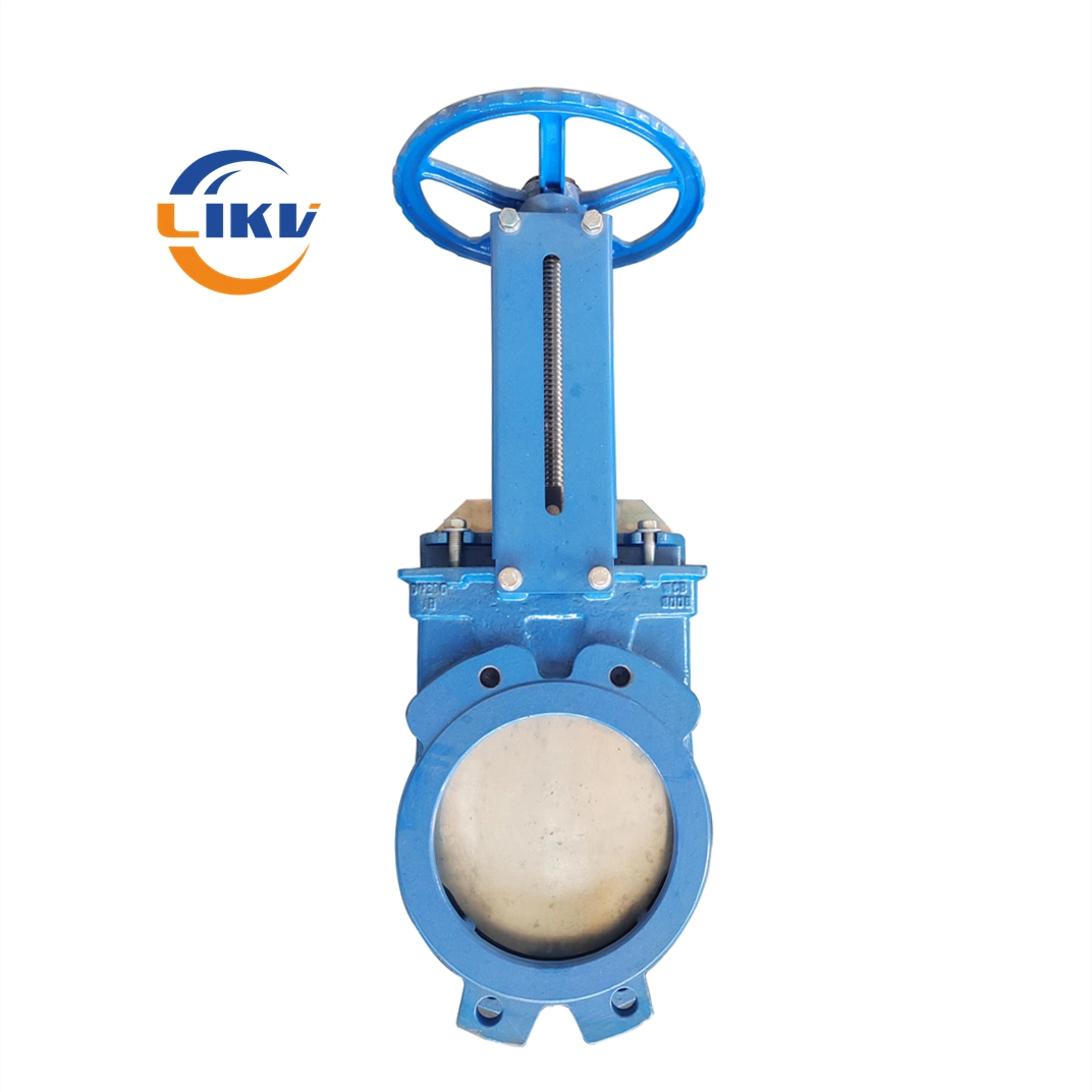 Cast Iron Rising Stem Inside Disc Soft Seal Wafer Type Slurry Sewage Gate Valve