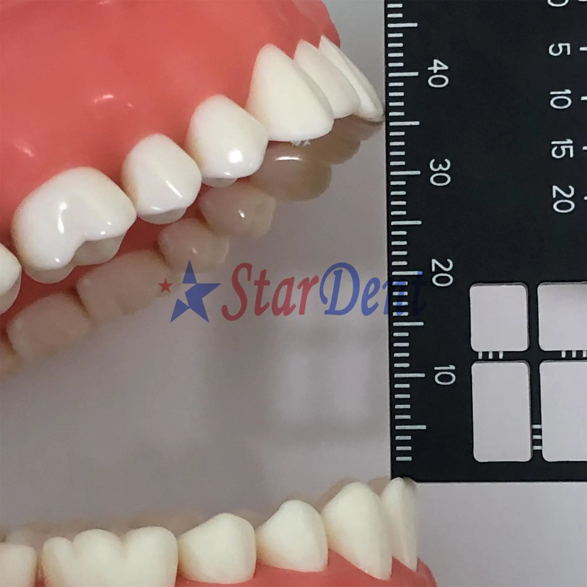 Medición de precisión Dental dental REGLA regla de medir multifuncional de la distancia interdental