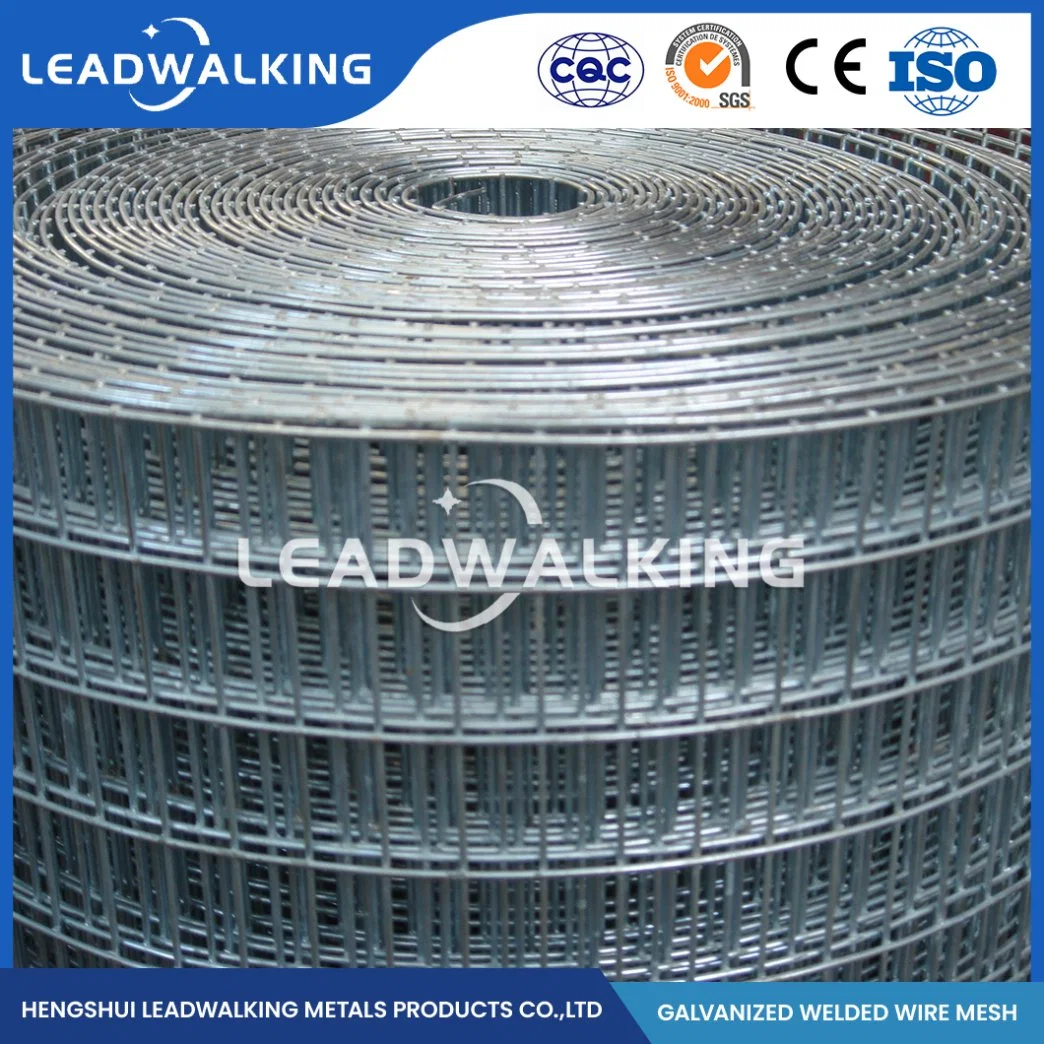 Leadwalking PVC Coated Welded Square Hole Wire Mesh Manufacturers OEM Customized 16 Gauge Welded Wire Mesh China 1/2X1/2 Galvanized Iron Wire Welded Wire Mesh
