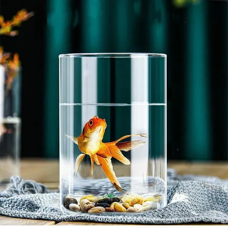 Small Glass Mini Small Glass Bud Vase with Stand Luxury Box