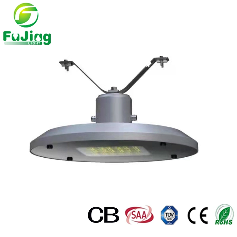 China fornecedor OEM ODM de fábrica de alumínio Die-Casting 20-100W66 IP de poupança de energia à prova de luz LED de luz do Jardim da Luz de Rua