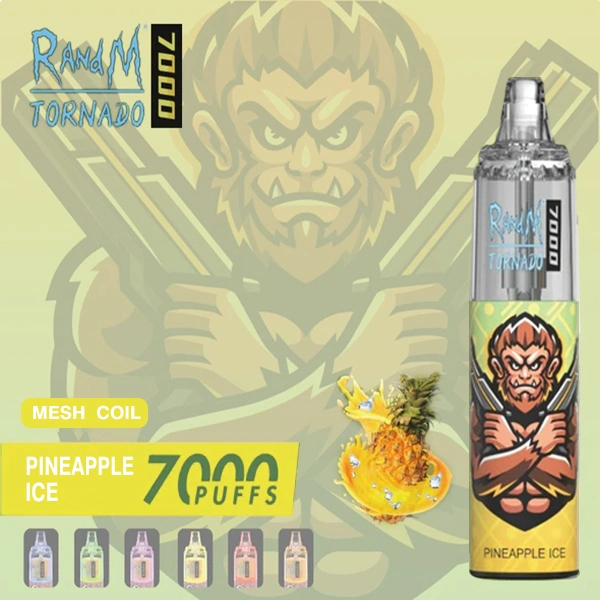 Original Randm Tornado 7000 Puffs stylo de Vape jetable 0% 2% 3 % et 5 % de design clignotant, 850 mAh, type C, rechargeable, jetable, Mini E-cigarette