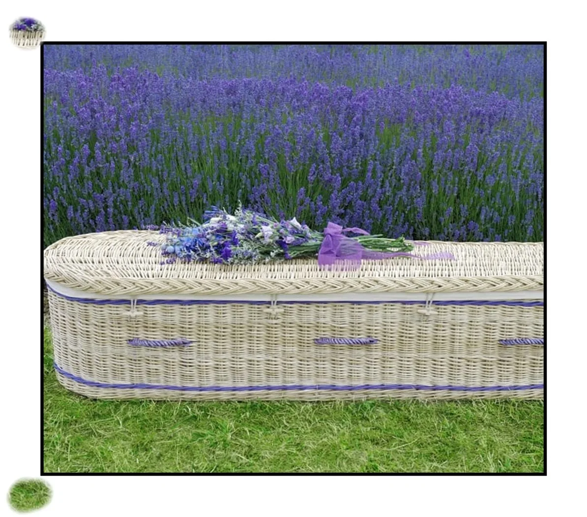 Professionelle Gesundheit Französisch Beerdigung Wicker Coffin