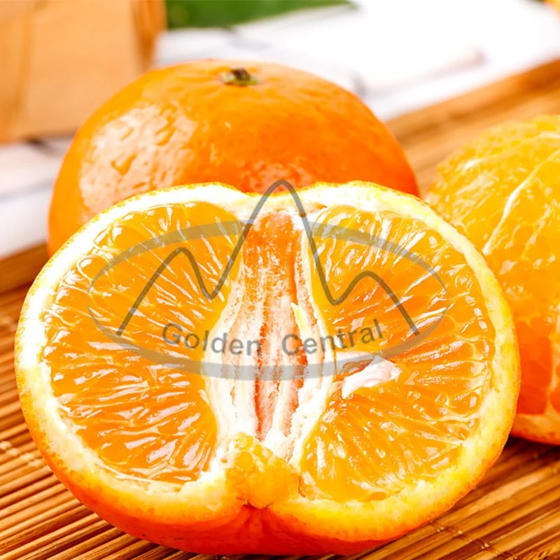 Naranja Navel Super Fresh Precio Naranja fresca