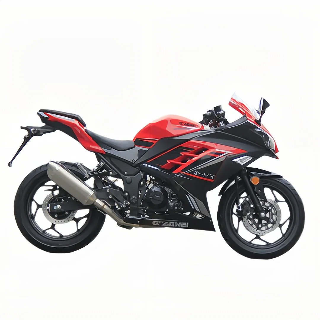 Daniu 250cc Refrigerado por aceite Motor styel Street Motorcycle