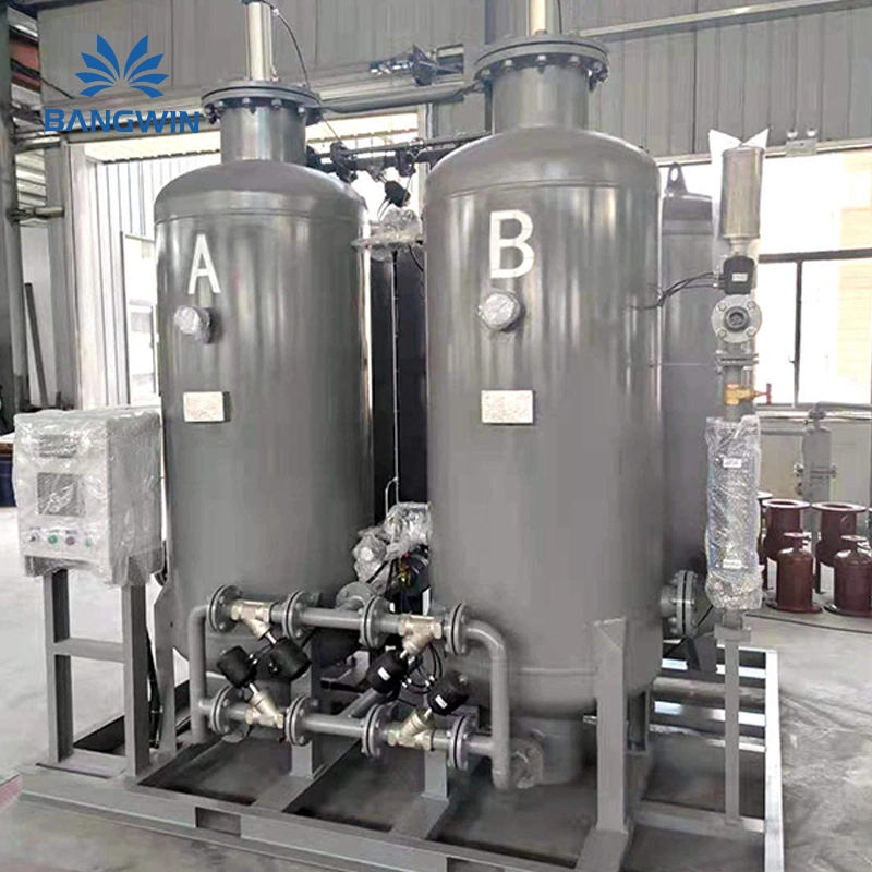 Bw Liquid Nitrogen Plant Equipment Machine Small Nitrogen Gas Generator