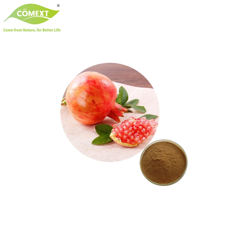 Comext Supply 100% Natural Pomegranate Extract 20% Pomegranate Glycosides Powder