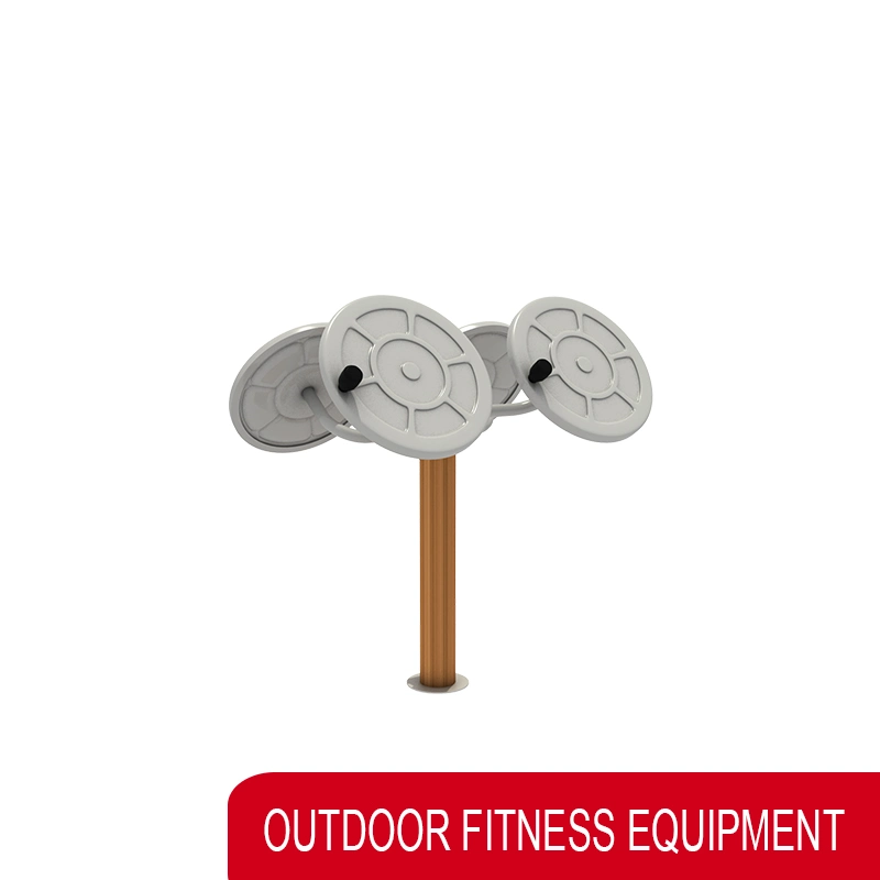 Galvanized Post Outdoor Park Playground Fitness Equipment