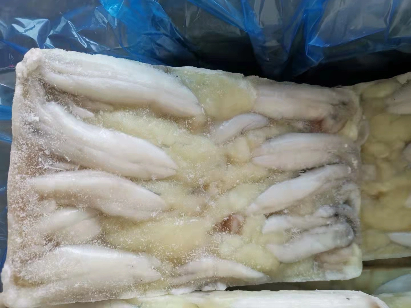 Top Quality Sea Food Processing Squid Roe Frozen Egg Squid