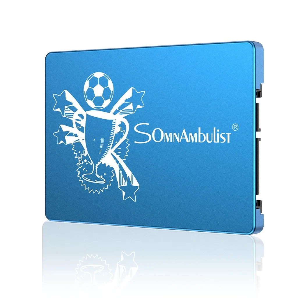 Somnambulist Gjs04 Plastique 2.5 SATA SSD 60g 128g 2tb 120GB 240GB 480GB 60GB 960GB Disque à état solide SSD