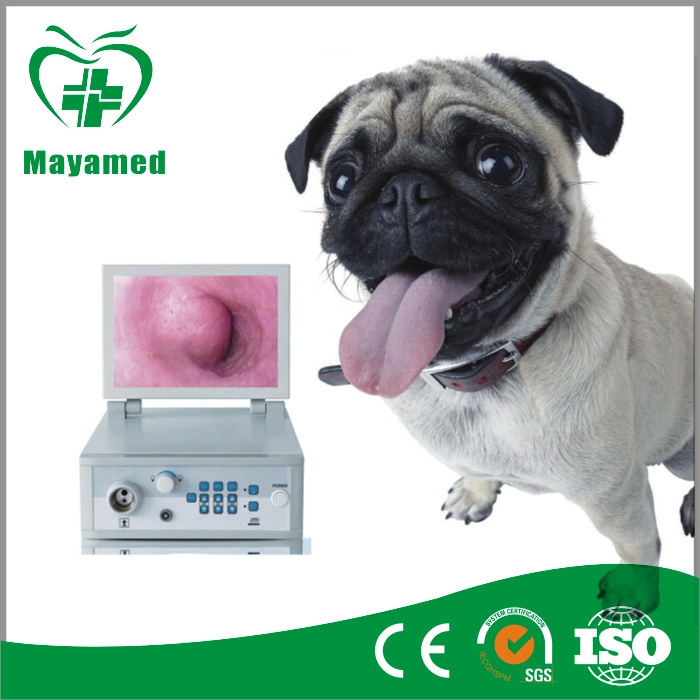 My-W025A Medical Device HD Endoscope Camera Video Veterinary Endoscopy System