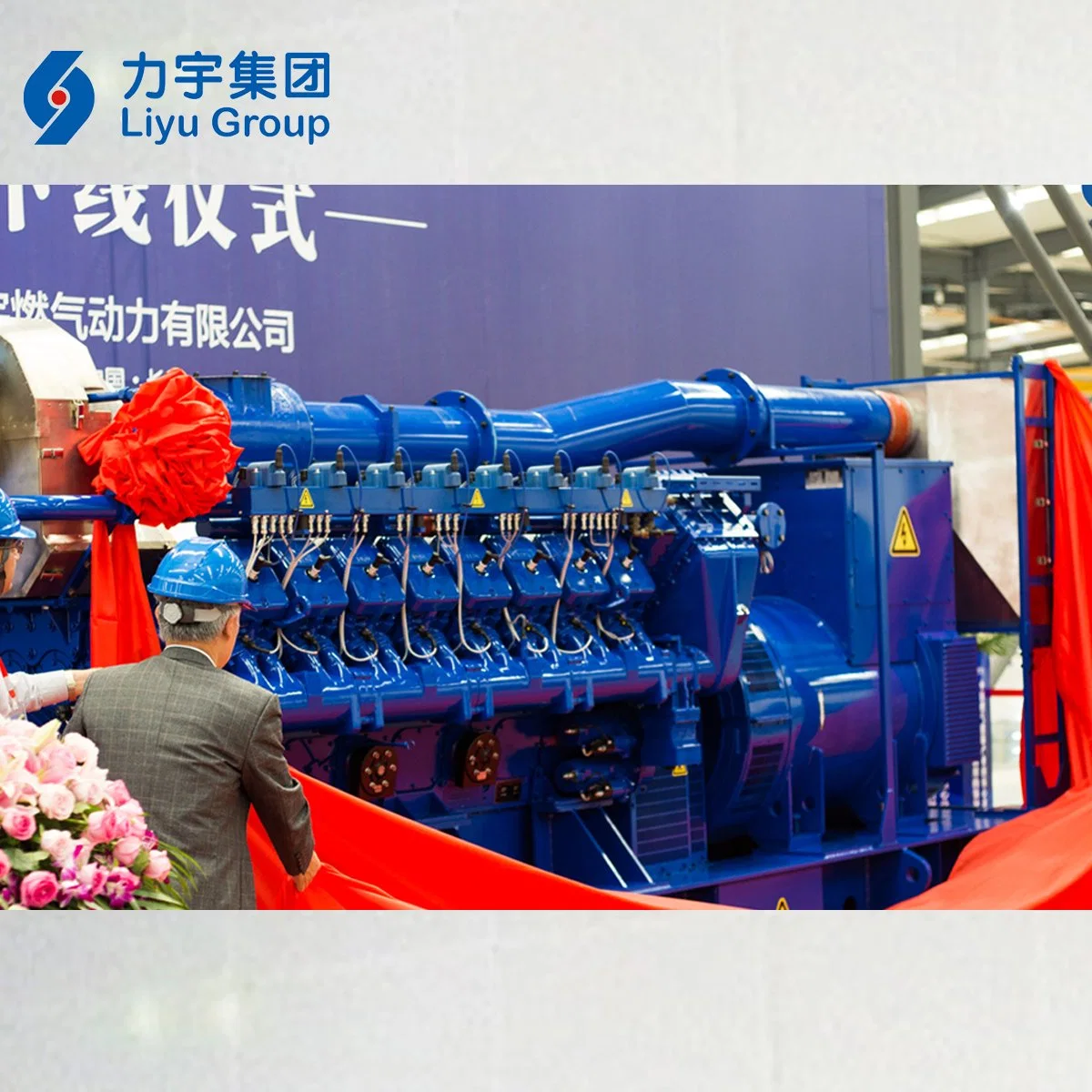 Liyu Gas Power 1MW/1000kw 12V Cylinder Low Voltage High Concentration Methane Gas Generating Set