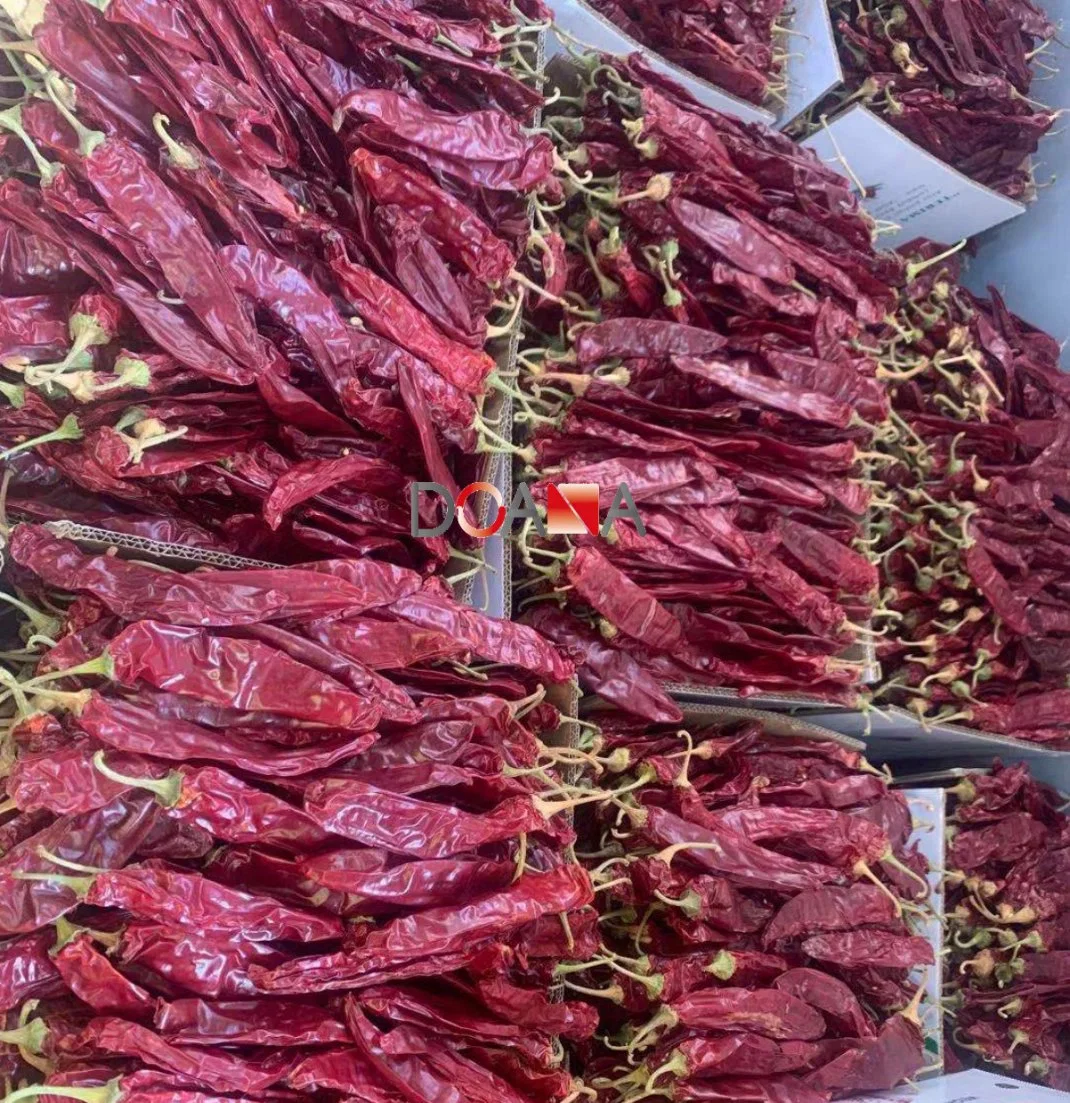 Chinese Sweet Red Paprika From Xinjiang