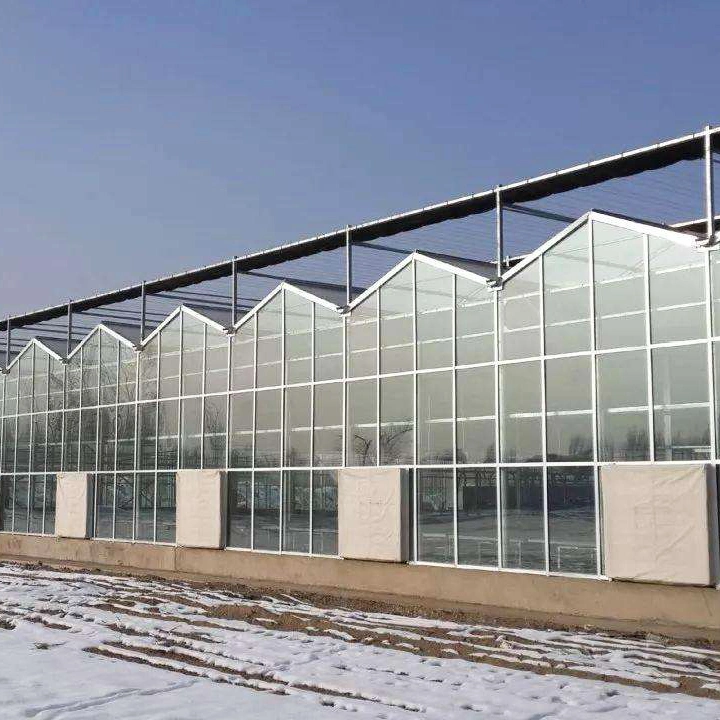 2023 Great Performance Agricultural Glass Greenhouse for Hydroponics Vegetables