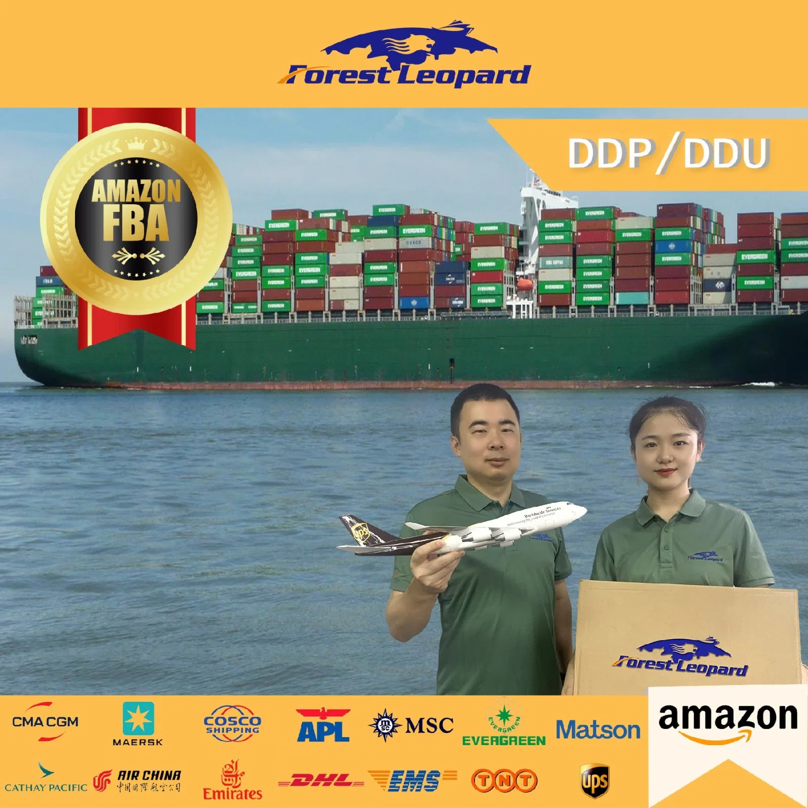 Cheap Door to Door Sea Freight Shipping Service Rate Form China to USA/UK/France