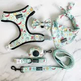 Best Selling Pet Products 2021 Dog Harness Custom Pattern Dog Accessories Luxury Pet Supplies/Factory Price