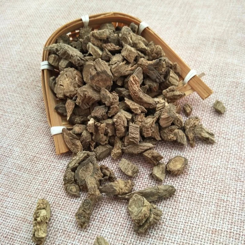 Чуан Сюй Duan заводе питания природным травы медицины Dipsacus asperoides для здоровья