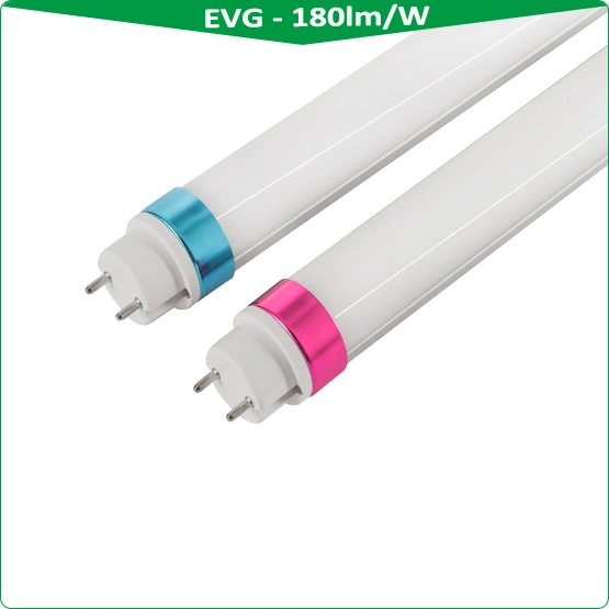 Lampe à tube LED T8 avec capteur micro-ondes compatible KVG, tube circulaire à LED, lampes fluorescentes