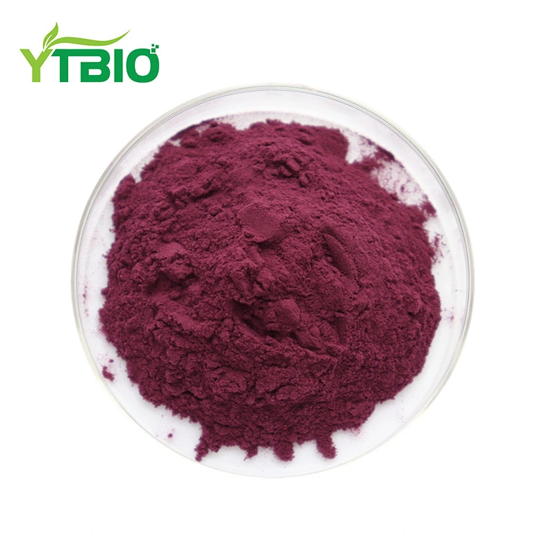 Pó Freeze-Dried Extracto Mulberry Mulberry Frutas 100% natural