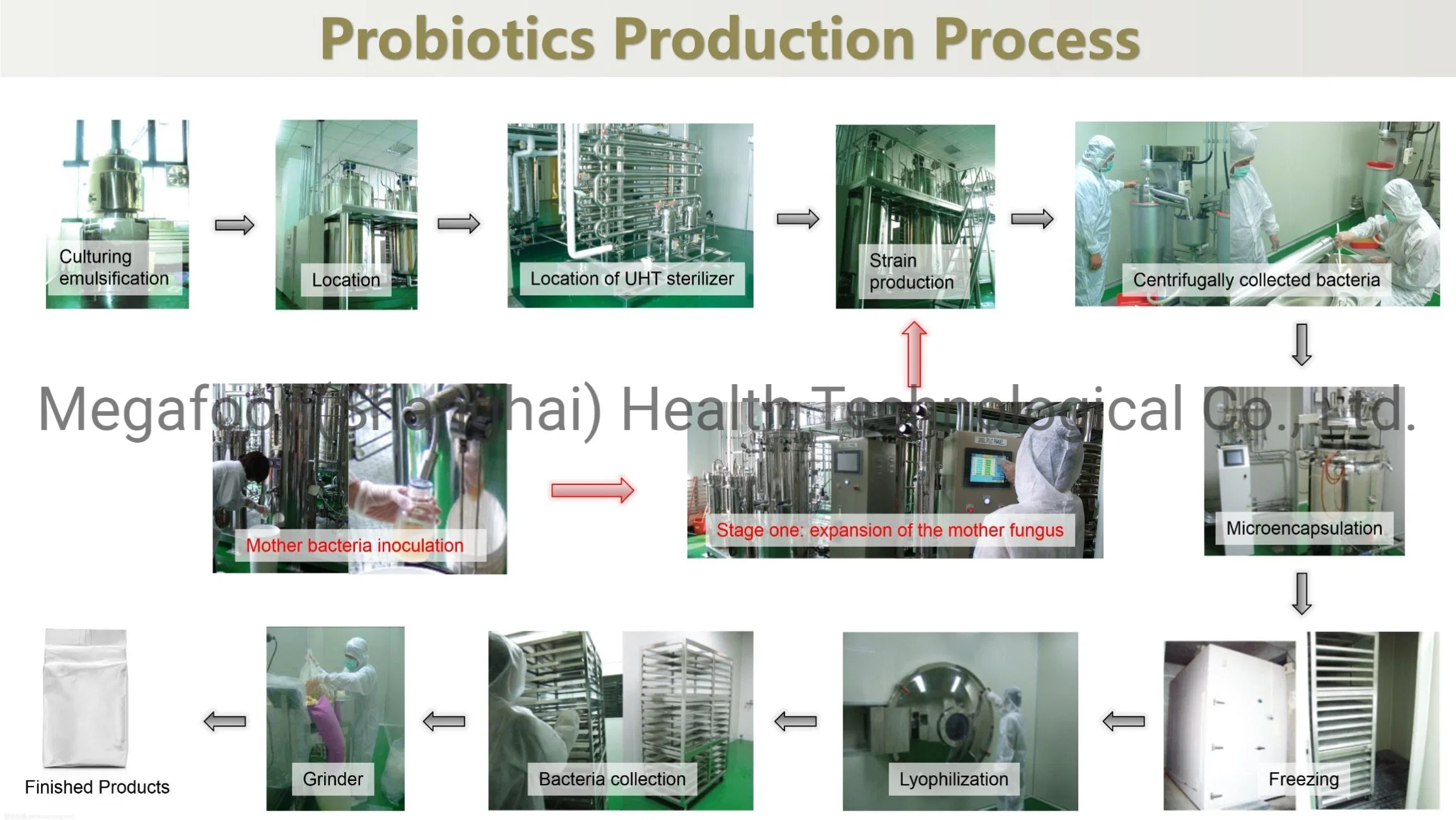 Productos sanitarios de la Salud los alimentos probióticos puro Premix reducir la infección para los niños y bebés