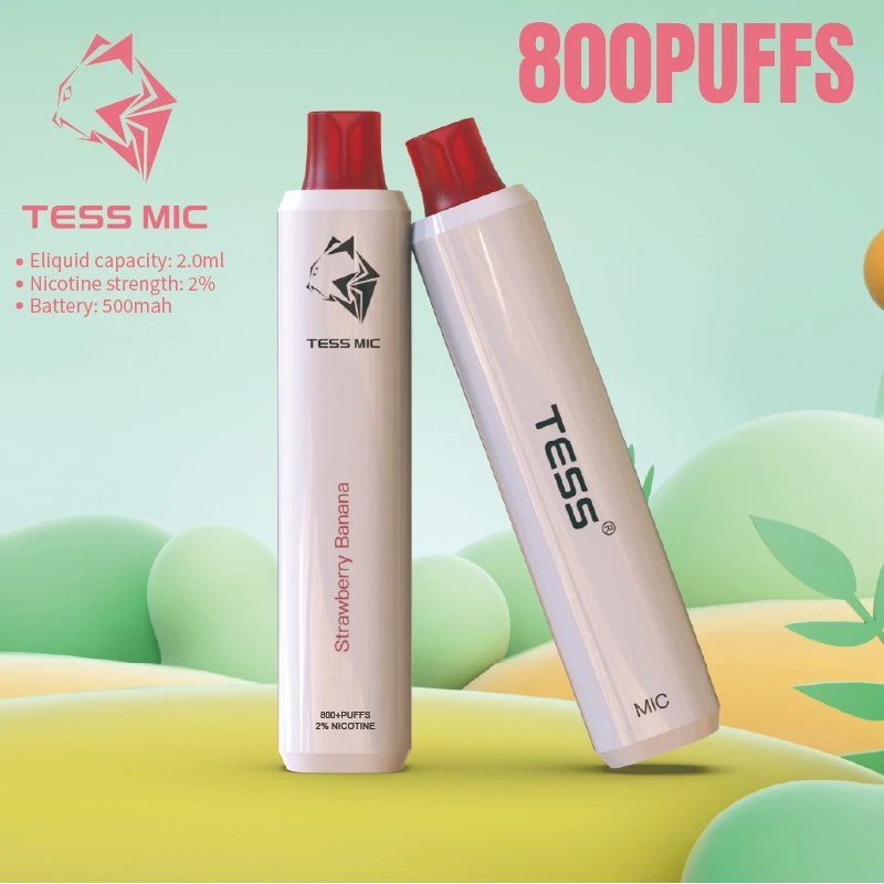 Disposable/Chargeable Vape Pen 2ml Pod Starter Kit E Cigarette Tess E Cig Vape 800 Puff