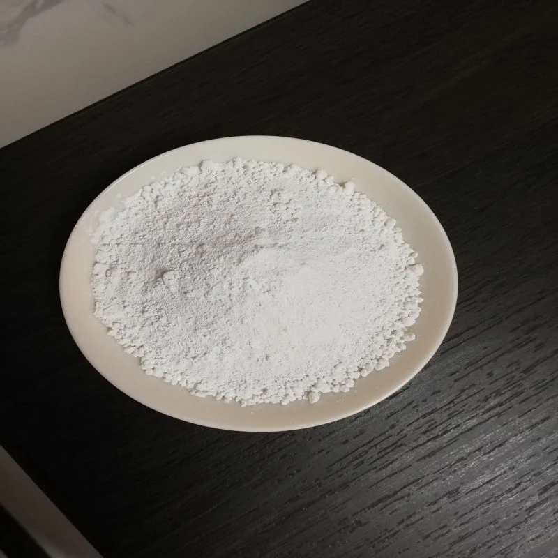 High quality/High cost performance  Titanium Dioxide Casa 13463-67-7 TiO2 Powder Chinese Good Priceindustrial Grade