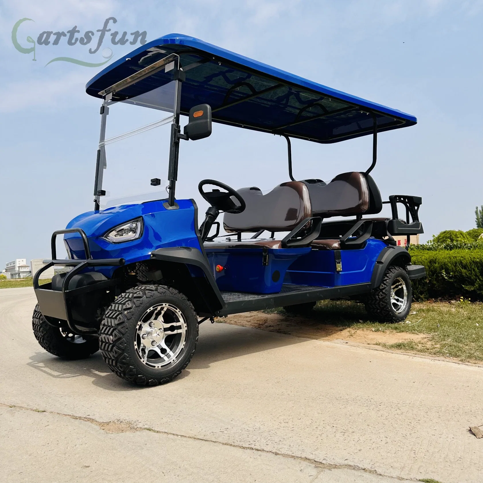 Factory 2+4 Seat Sightseeing Bus Club Cart Gas Golf Buggy Hunting Car