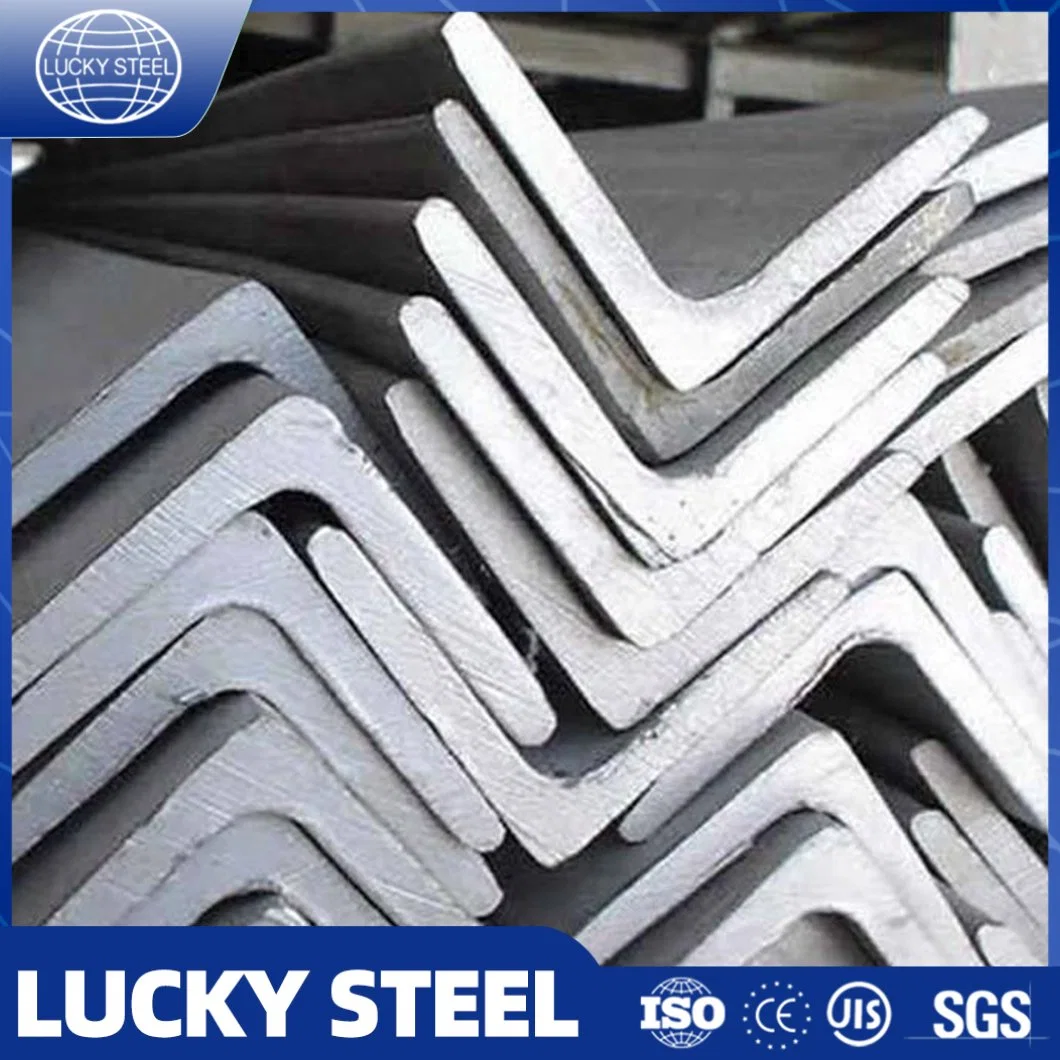 Galvanized BS En S355jr S355j0 Perforated L Shaped Steel Slotted Triangular Steel Bar Carbon Iron Angle Steel