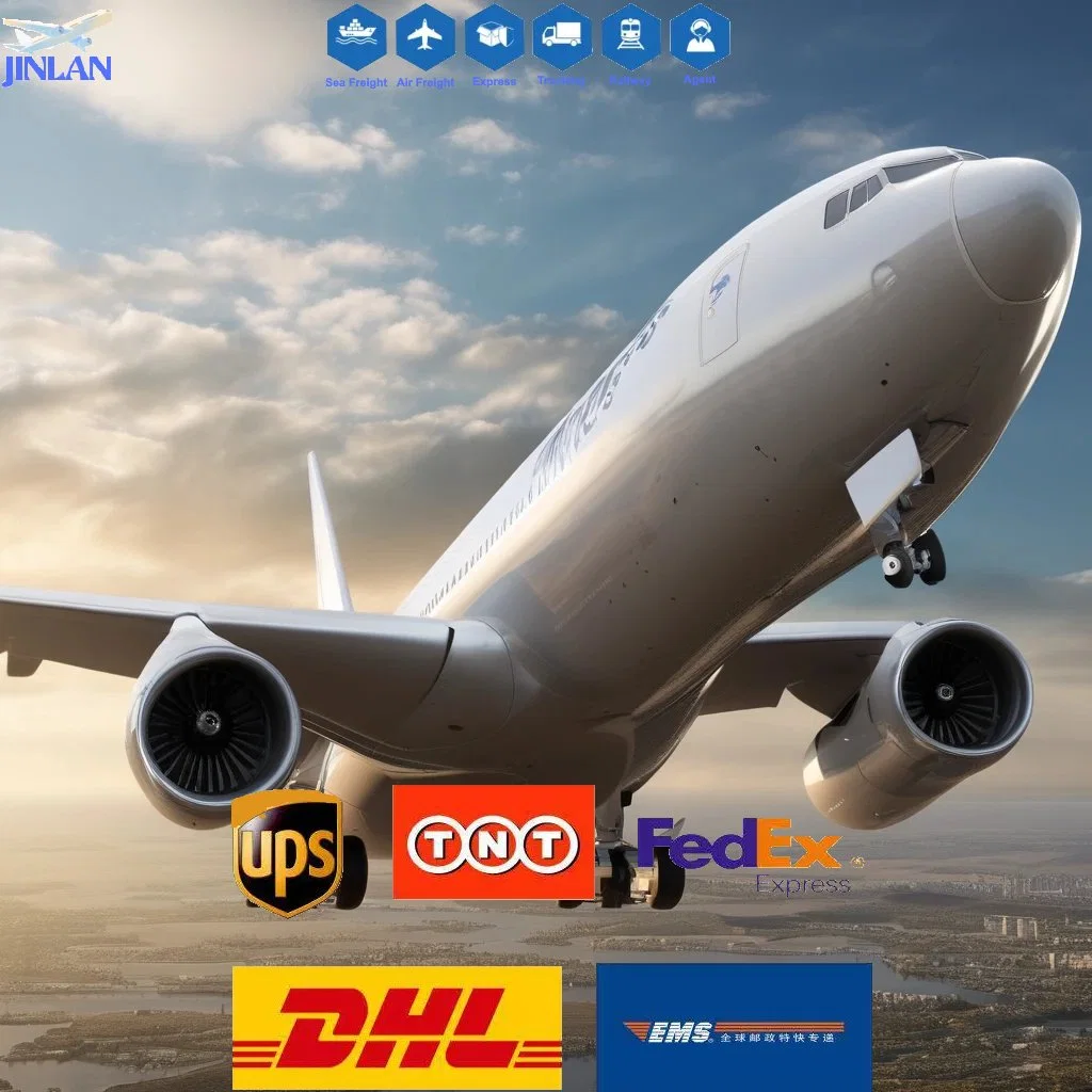 Shenzhen Freight Forwarder UPS/DHL/FedEx Express to USA