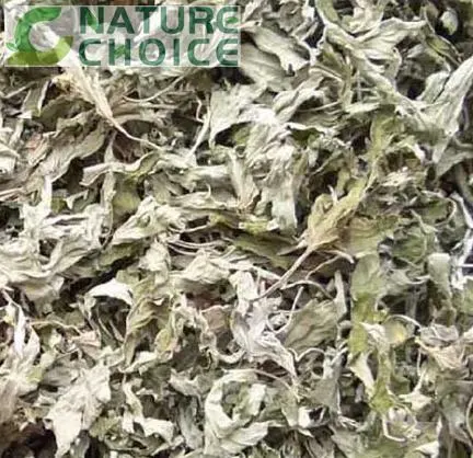 Folium Artemisiae Argyi Leaf Dried Mugwort