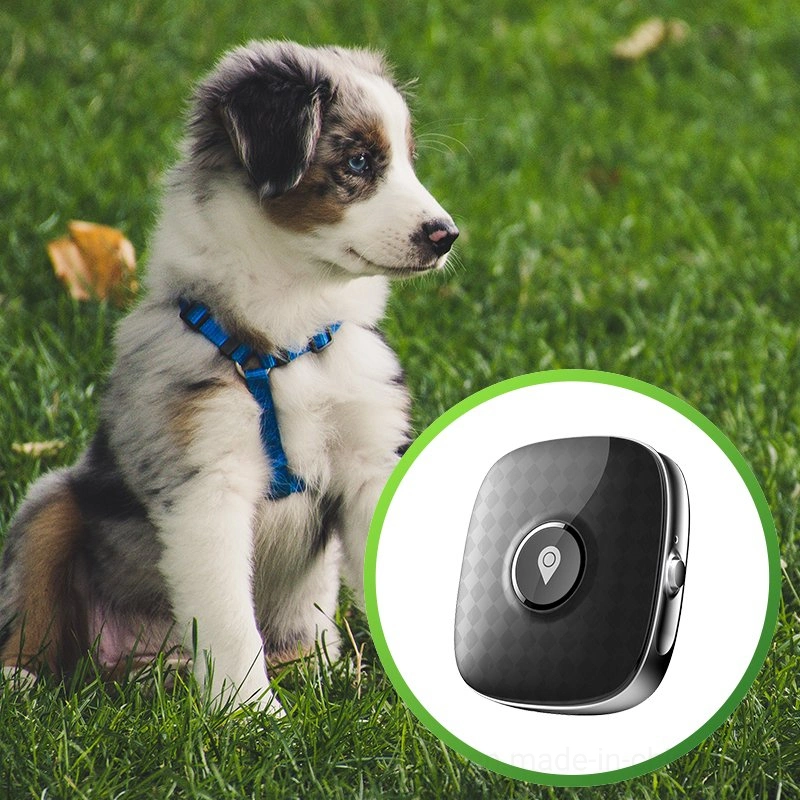 Hot 4G LTE IP67 Waterproof Anti Lost Real Google Map Mini Wireless GPS Tracker Device for Pets Cats with Voice Monitoring PM04C