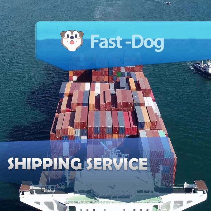 Cheapest Fast Delivery DDP Amazon Fba Sea Shipping Freight Forwarding China to Canada