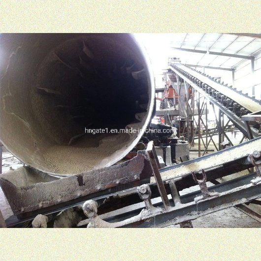 Gate 2-3t/H Organic Fertilizer Plant in India Fertilizer Production Line