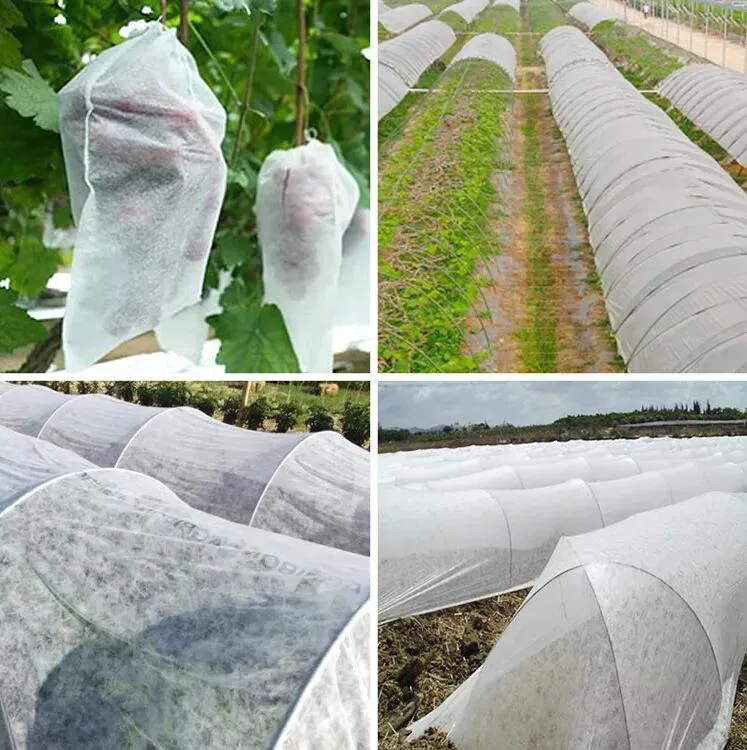 Ecológica 100% biodegradable PLA Spunbond Nonwoven Fabric para la Agricultura producto