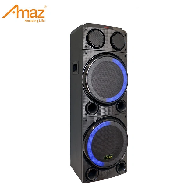 Altavoz de torre de luz LED de 10 pulgadas Amaz Al2910 OEM Altavoces Karaoke con micrófono