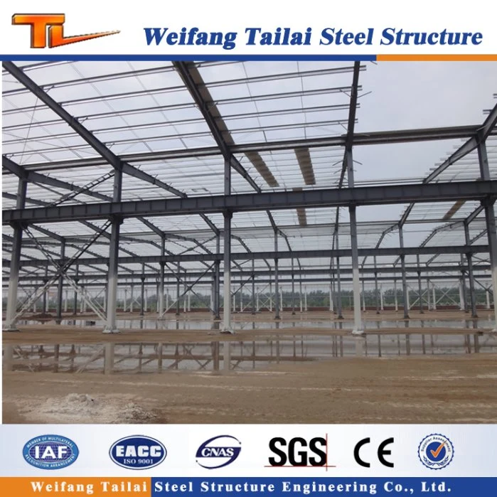 Large Span Light Weight Economic Prefab Steel Structure Agricultural Farm Warehouse