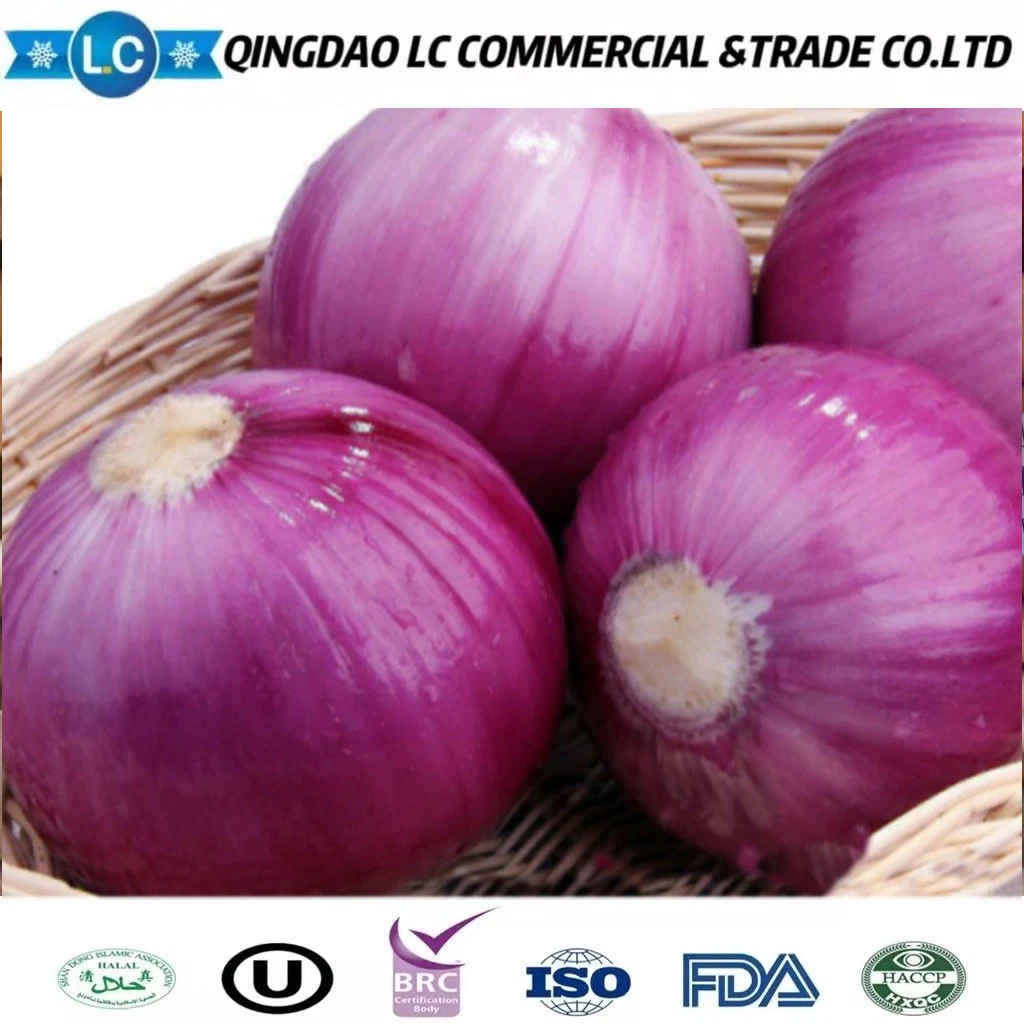 Hot Selling Delicious Quality IQF Frozen Sliced Onion