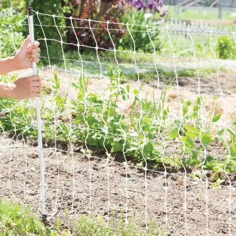 Heiß Getaucht Galvanisiert Hohe Zugspannung Feld Draht Ziege Drahtgeflecht