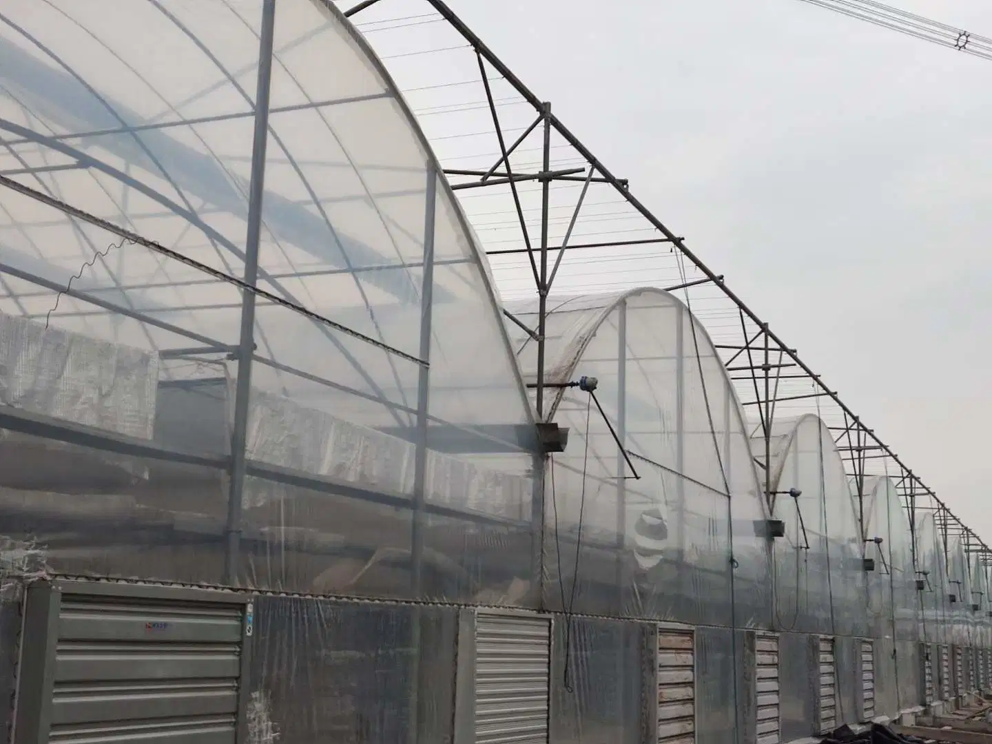 Multi-Span Gutter Connected Tunnel Poly Film Greenhouses for Sale