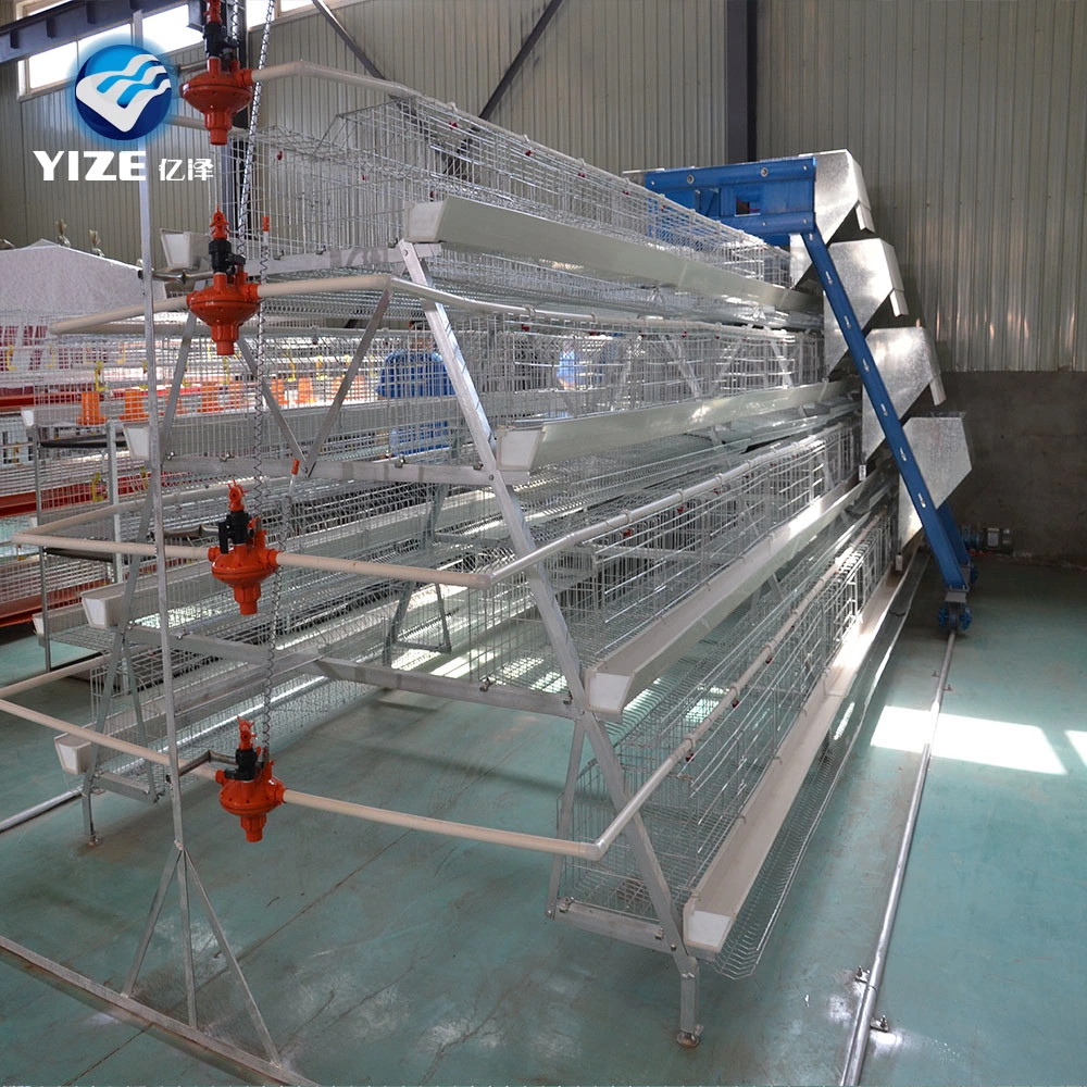 Manufacture Hot Sale Tanzania Chicken Farm Layer Cage System in Poultry